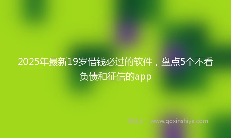 2025年最新19岁借钱必过的软件，盘点5个不看负债和征信的app