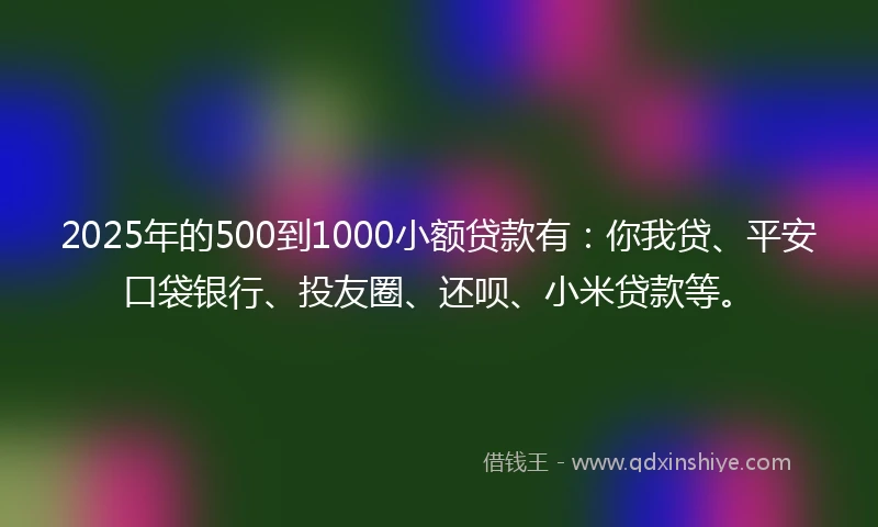 2025年的500到1000小额贷款有：你我贷、平安口袋银行、投友圈、还呗、小米贷款等。