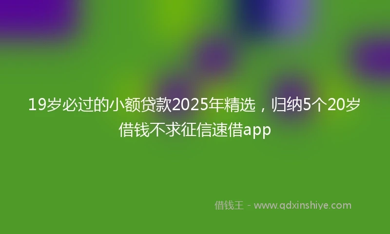 19岁必过的小额贷款2025年精选，归纳5个20岁借钱不求征信速借app