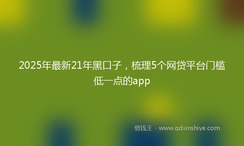 2025年最新21年黑口子，梳理5个网贷平台门槛低一点的app