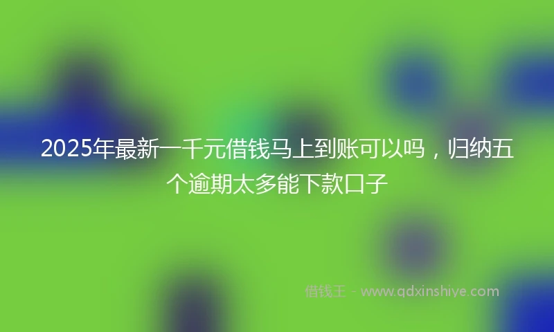 2025年最新一千元借钱马上到账可以吗，归纳五个逾期太多能下款口子