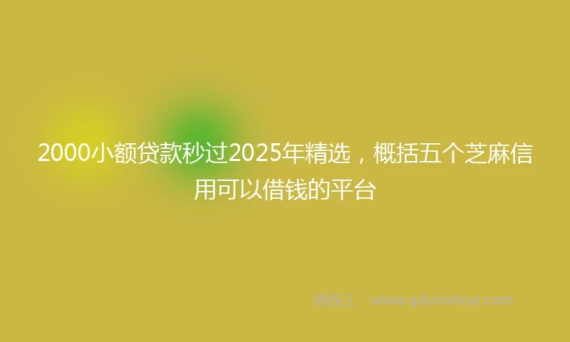 2000小额贷款秒过2025年精选，概括五个芝麻信用可以借钱的平台