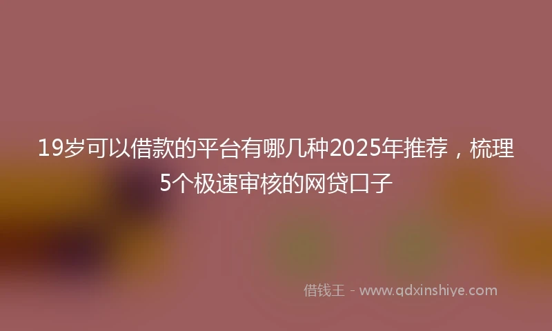 19岁可以借款的平台有哪几种2025年推荐，梳理5个极速审核的网贷口子