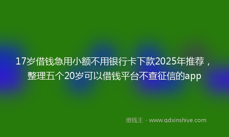 17岁借钱急用小额不用银行卡下款2025年推荐，整理五个20岁可以借钱平台不查征信的app