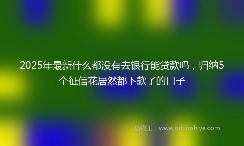2025年最新什么都没有去银行能贷款吗，归纳5个征信花居然都下款了的口子