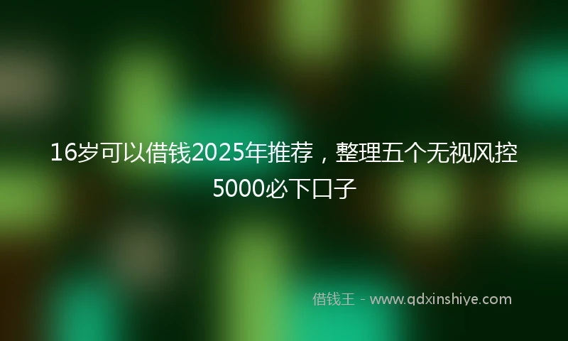 16岁可以借钱2025年推荐，整理五个无视风控5000必下口子
