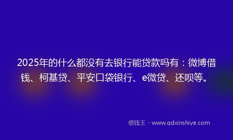 2025年的什么都没有去银行能贷款吗有：微博借钱、柯基贷、平安口袋银行、e微贷、还呗等。