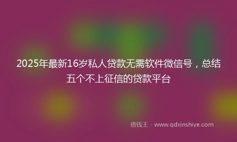 2025年最新16岁私人贷款无需软件微信号，总结五个不上征信的贷款平台
