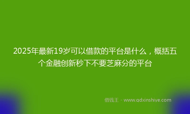 2025年最新19岁可以借款的平台是什么，概括五个金融创新秒下不要芝麻分的平台