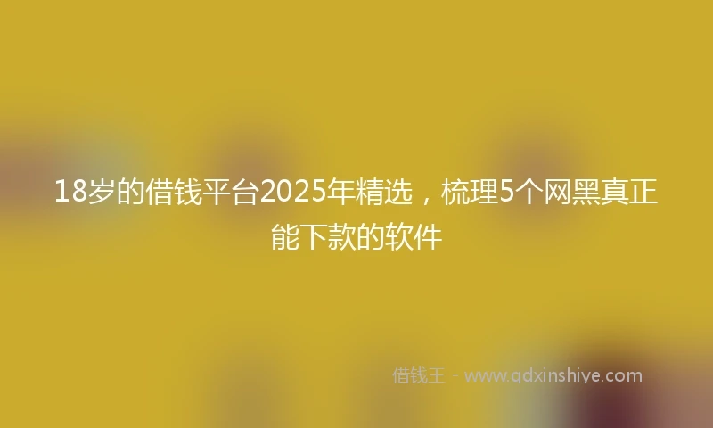 18岁的借钱平台2025年精选，梳理5个网黑真正能下款的软件