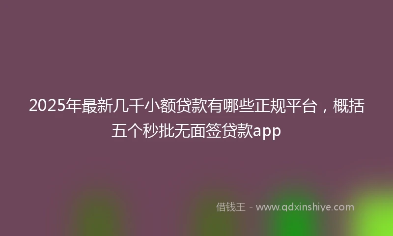 2025年最新几千小额贷款有哪些正规平台，概括五个秒批无面签贷款app