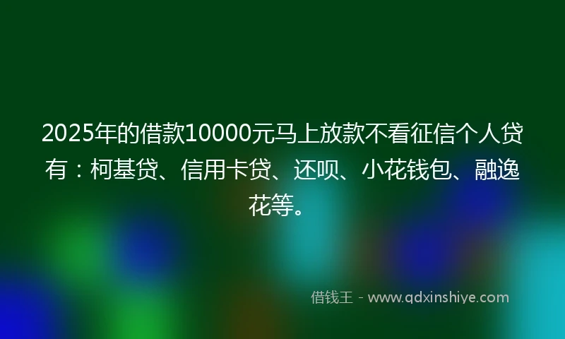 2025年的借款10000元马上放款不看征信个人贷有：柯基贷、信用卡贷、还呗、小花钱包、融逸花等。