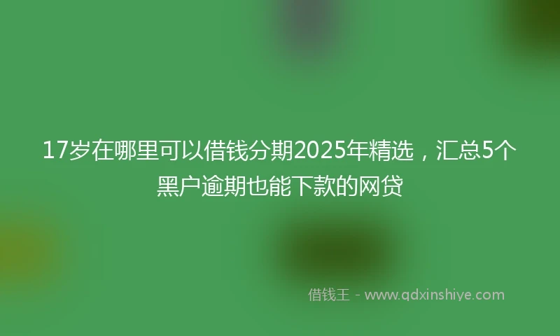 17岁在哪里可以借钱分期2025年精选，汇总5个黑户逾期也能下款的网贷