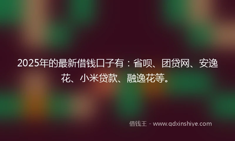 2025年的最新借钱口子有：省呗、团贷网、安逸花、小米贷款、融逸花等。