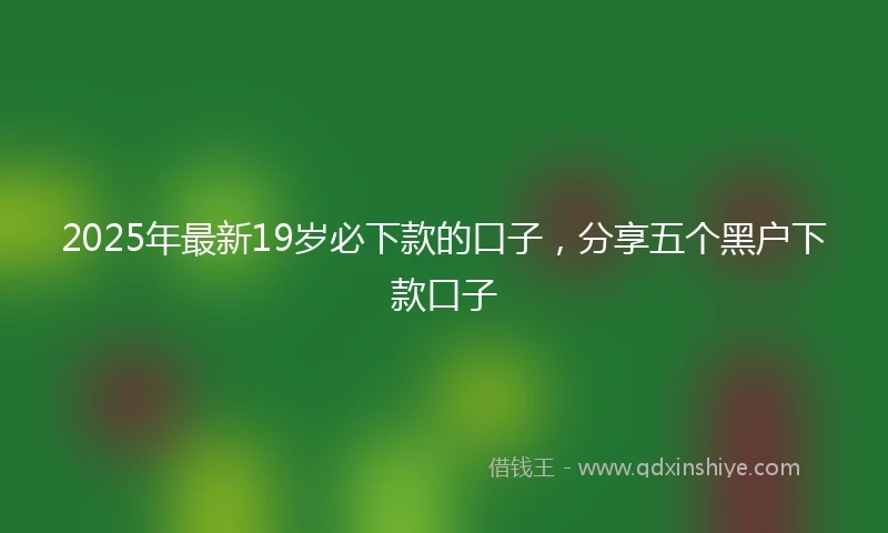 2025年最新19岁必下款的口子，分享五个黑户下款口子