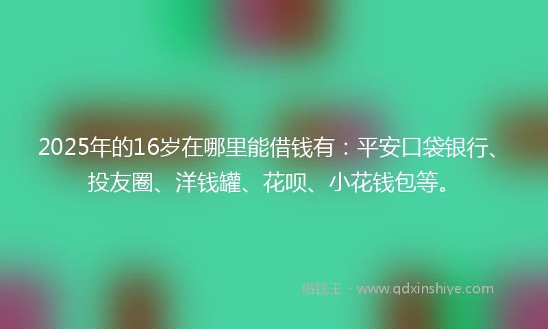 2025年的16岁在哪里能借钱有：平安口袋银行、投友圈、洋钱罐、花呗、小花钱包等。