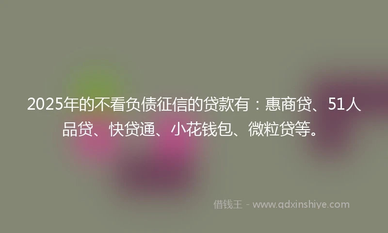 2025年的不看负债征信的贷款有：惠商贷、51人品贷、快贷通、小花钱包、微粒贷等。