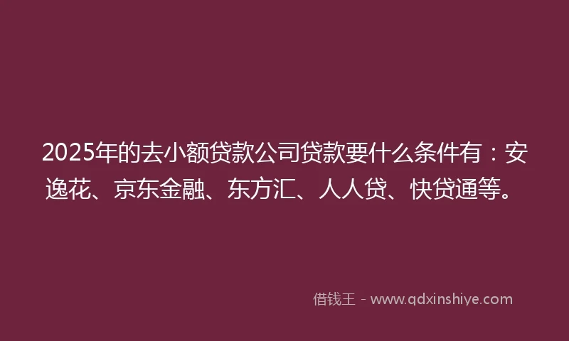 2025年的去小额贷款公司贷款要什么条件有：安逸花、京东金融、东方汇、人人贷、快贷通等。