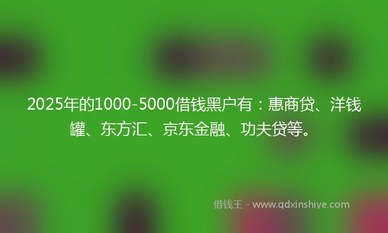2025年的1000-5000借钱黑户有：惠商贷、洋钱罐、东方汇、京东金融、功夫贷等。