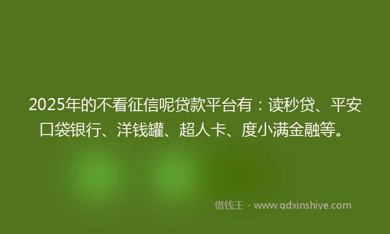 2025年的不看征信呢贷款平台有：读秒贷、平安口袋银行、洋钱罐、超人卡、度小满金融等。