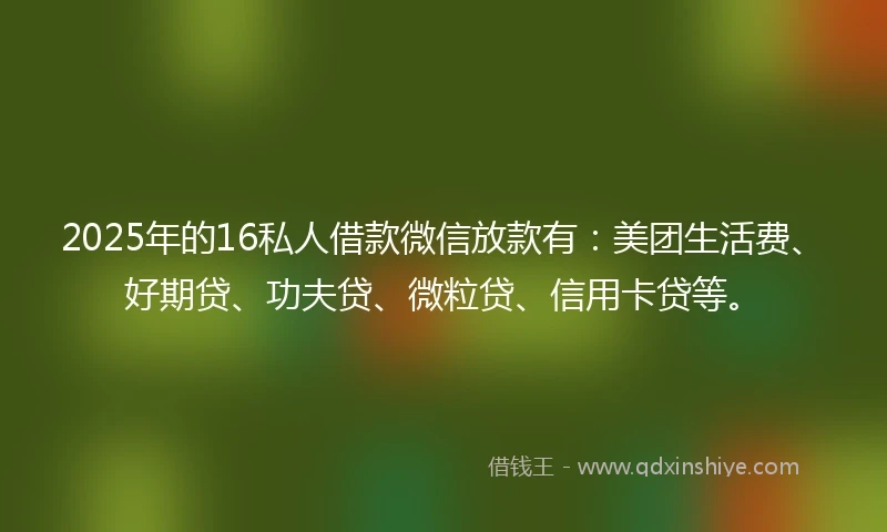 2025年的16私人借款微信放款有：美团生活费、好期贷、功夫贷、微粒贷、信用卡贷等。