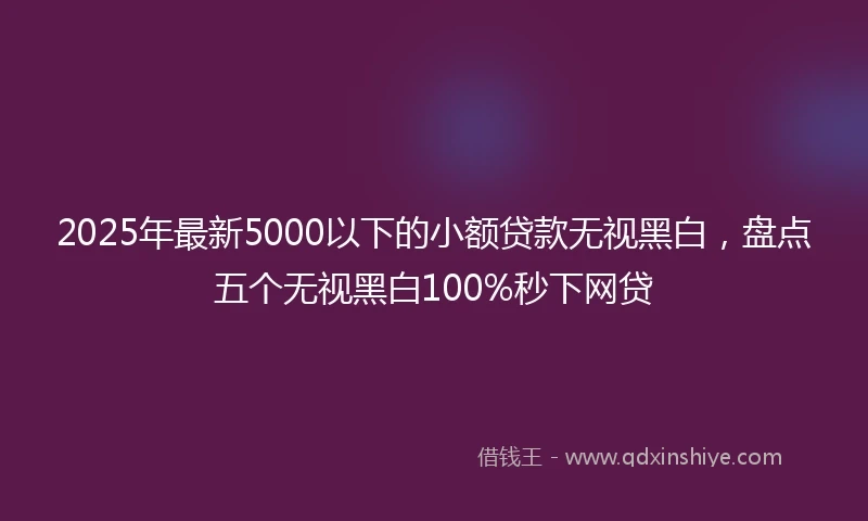 2025年最新5000以下的小额贷款无视黑白，盘点五个无视黑白100%秒下网贷