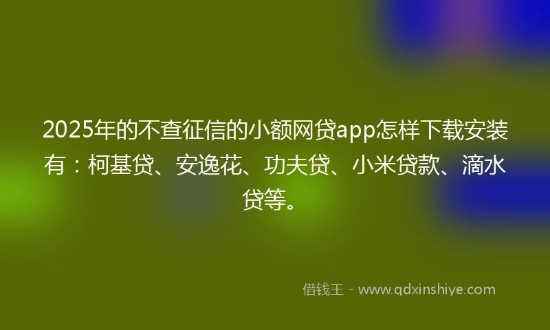 2025年的不查征信的小额网贷app怎样下载安装有：柯基贷、安逸花、功夫贷、小米贷款、滴水贷等。