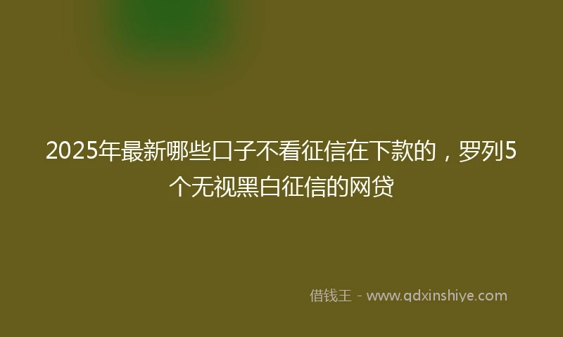 2025年最新哪些口子不看征信在下款的，罗列5个无视黑白征信的网贷