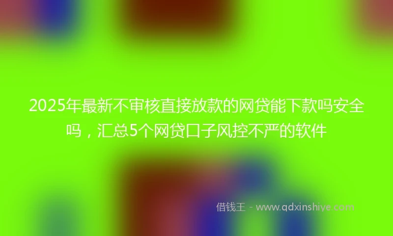 2025年最新不审核直接放款的网贷能下款吗安全吗，汇总5个网贷口子风控不严的软件