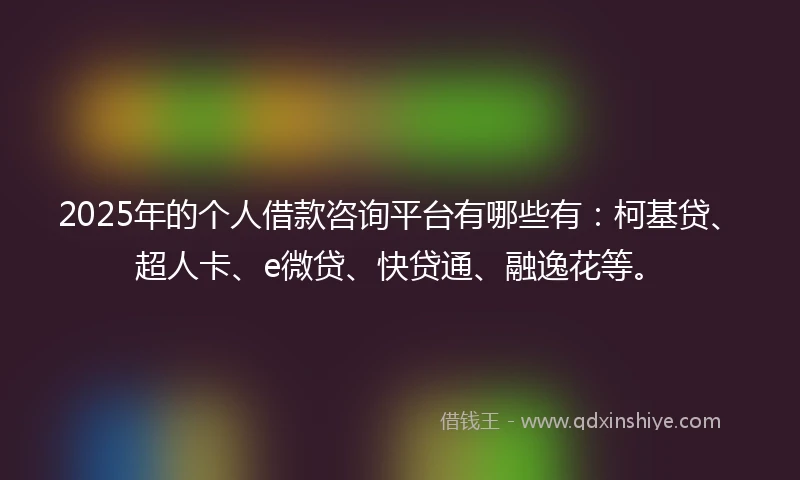 2025年的个人借款咨询平台有哪些有：柯基贷、超人卡、e微贷、快贷通、融逸花等。