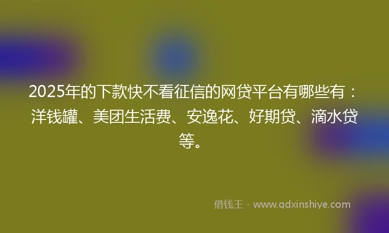 2025年的下款快不看征信的网贷平台有哪些有：洋钱罐、美团生活费、安逸花、好期贷、滴水贷等。