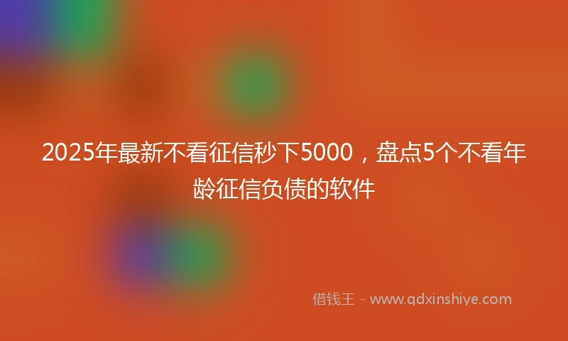 2025年最新不看征信秒下5000，盘点5个不看年龄征信负债的软件