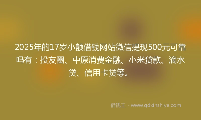 2025年的17岁小额借钱网站微信提现500元可靠吗有：投友圈、中原消费金融、小米贷款、滴水贷、信用卡贷等。
