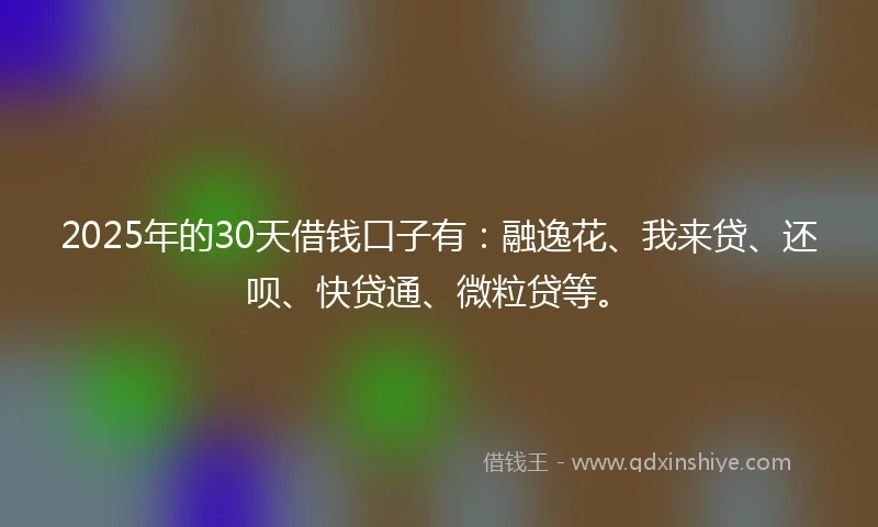 2025年的30天借钱口子有：融逸花、我来贷、还呗、快贷通、微粒贷等。