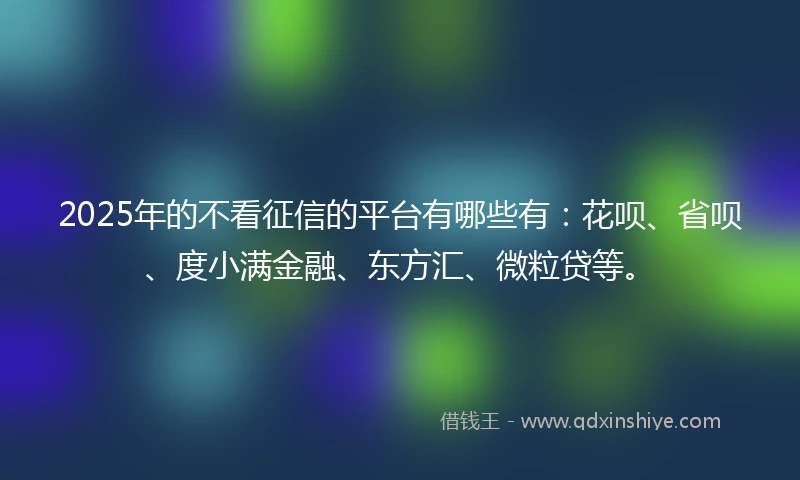 2025年的不看征信的平台有哪些有：花呗、省呗、度小满金融、东方汇、微粒贷等。