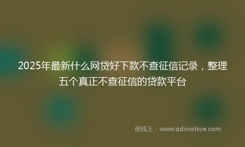 2025年最新什么网贷好下款不查征信记录，整理五个真正不查征信的贷款平台