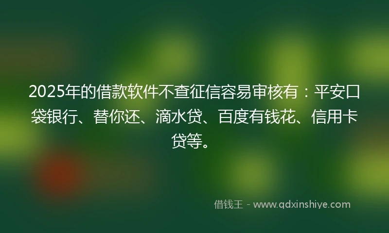 2025年的借款软件不查征信容易审核有：平安口袋银行、替你还、滴水贷、百度有钱花、信用卡贷等。