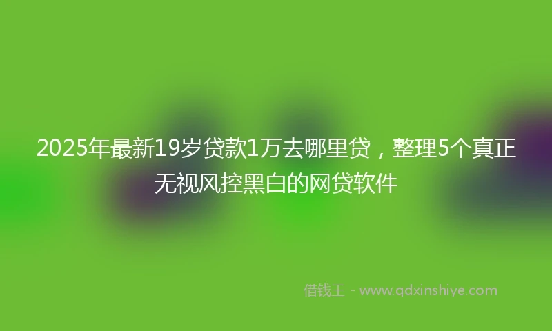 2025年最新19岁贷款1万去哪里贷，整理5个真正无视风控黑白的网贷软件