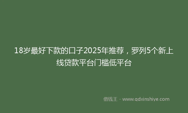 18岁最好下款的口子2025年推荐，罗列5个新上线贷款平台门槛低平台