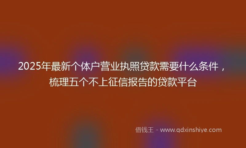 2025年最新个体户营业执照贷款需要什么条件，梳理五个不上征信报告的贷款平台
