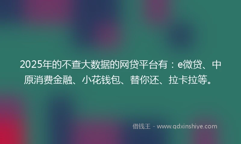 2025年的不查大数据的网贷平台有：e微贷、中原消费金融、小花钱包、替你还、拉卡拉等。