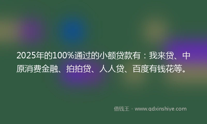 2025年的100%通过的小额贷款有：我来贷、中原消费金融、拍拍贷、人人贷、百度有钱花等。