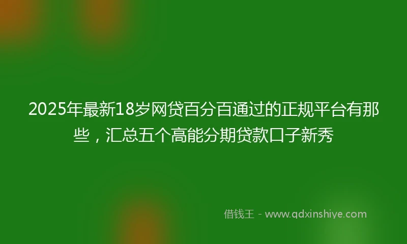 2025年最新18岁网贷百分百通过的正规平台有那些，汇总五个高能分期贷款口子新秀