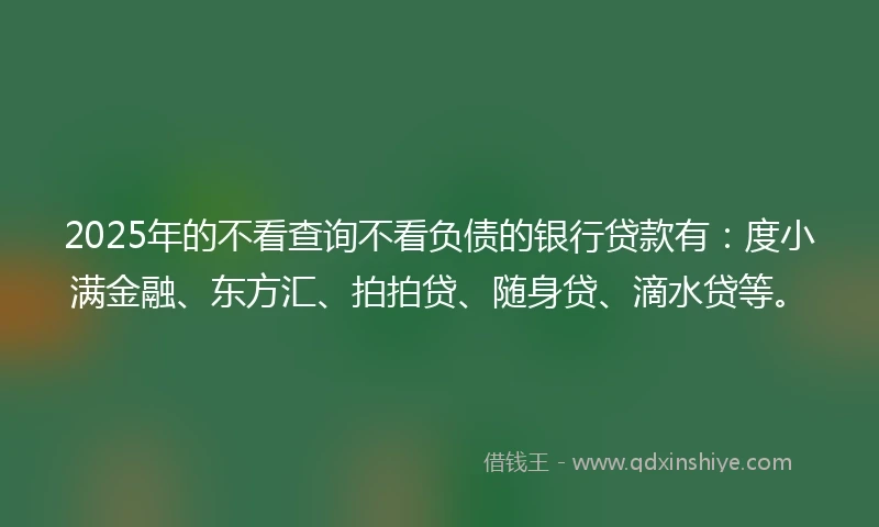 2025年的不看查询不看负债的银行贷款有：度小满金融、东方汇、拍拍贷、随身贷、滴水贷等。
