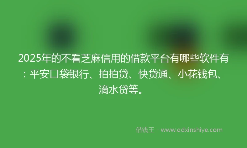 2025年的不看芝麻信用的借款平台有哪些软件有：平安口袋银行、拍拍贷、快贷通、小花钱包、滴水贷等。