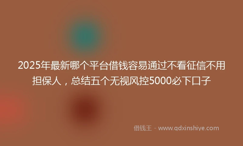 2025年最新哪个平台借钱容易通过不看征信不用担保人，总结五个无视风控5000必下口子