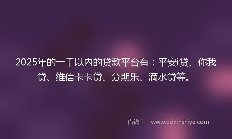 2025年的一千以内的贷款平台有：平安i贷、你我贷、维信卡卡贷、分期乐、滴水贷等。