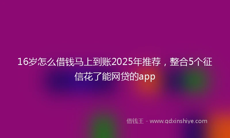 16岁怎么借钱马上到账2025年推荐，整合5个征信花了能网贷的app