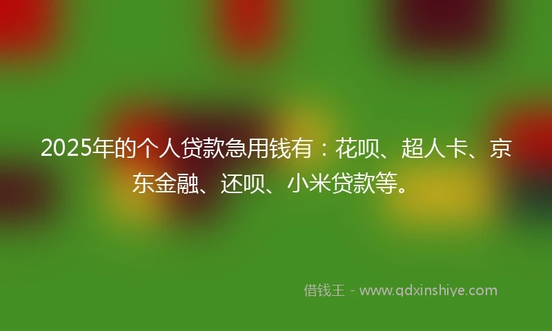 2025年的个人贷款急用钱有：花呗、超人卡、京东金融、还呗、小米贷款等。