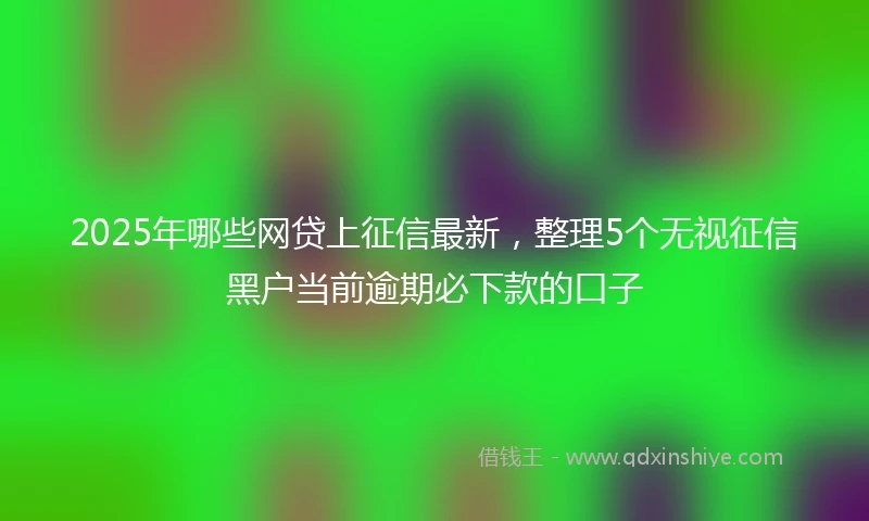 2025年哪些网贷上征信最新，整理5个无视征信黑户当前逾期必下款的口子